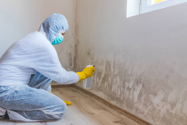 Licensed Crawl Space Mold Removal service in Orbisonia, PA - WQB Mold Removal
