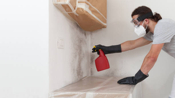 Professional Crawl Space Mold Removal technician working in Orbisonia, PA