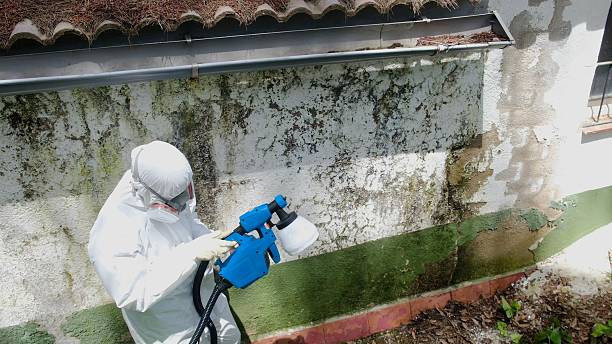 Top rated local Crawl Space Mold Removal specialists in Orbisonia, PA